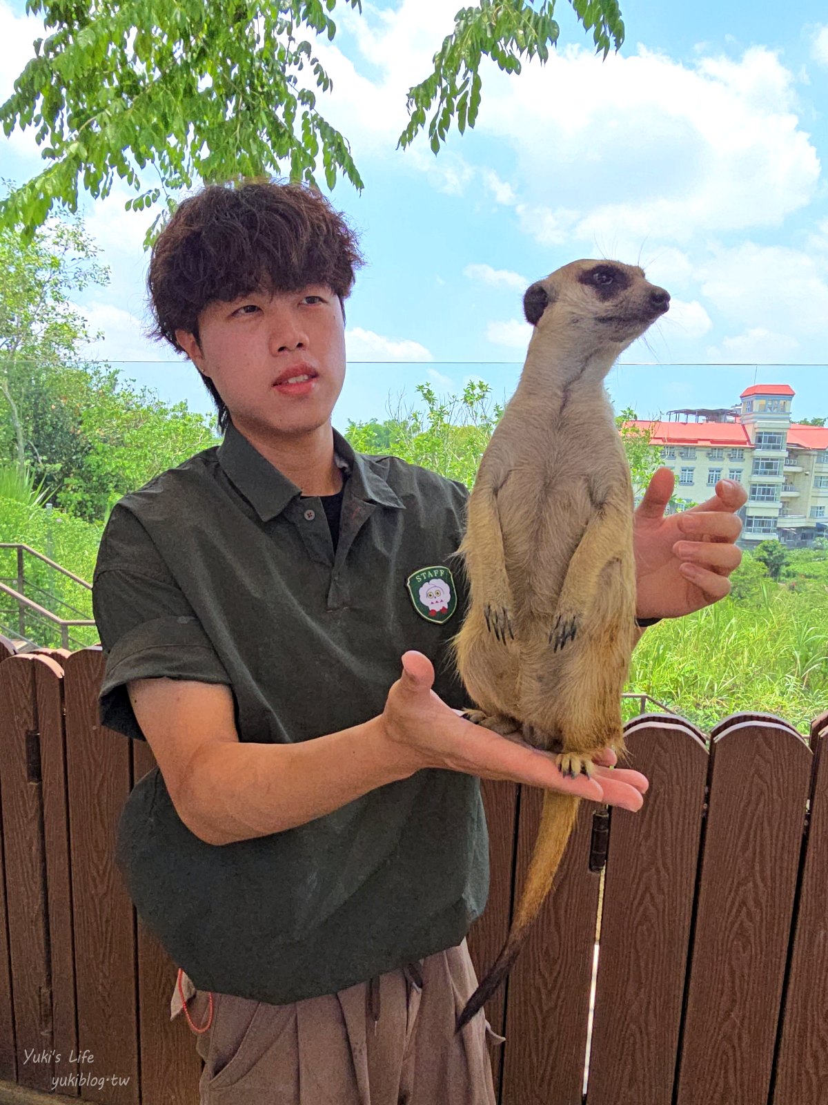 20260605170917_0_72dbae 高雄內門新景點！野森動物學校：全台唯一紅白狐狸谷體驗，一票玩到底！