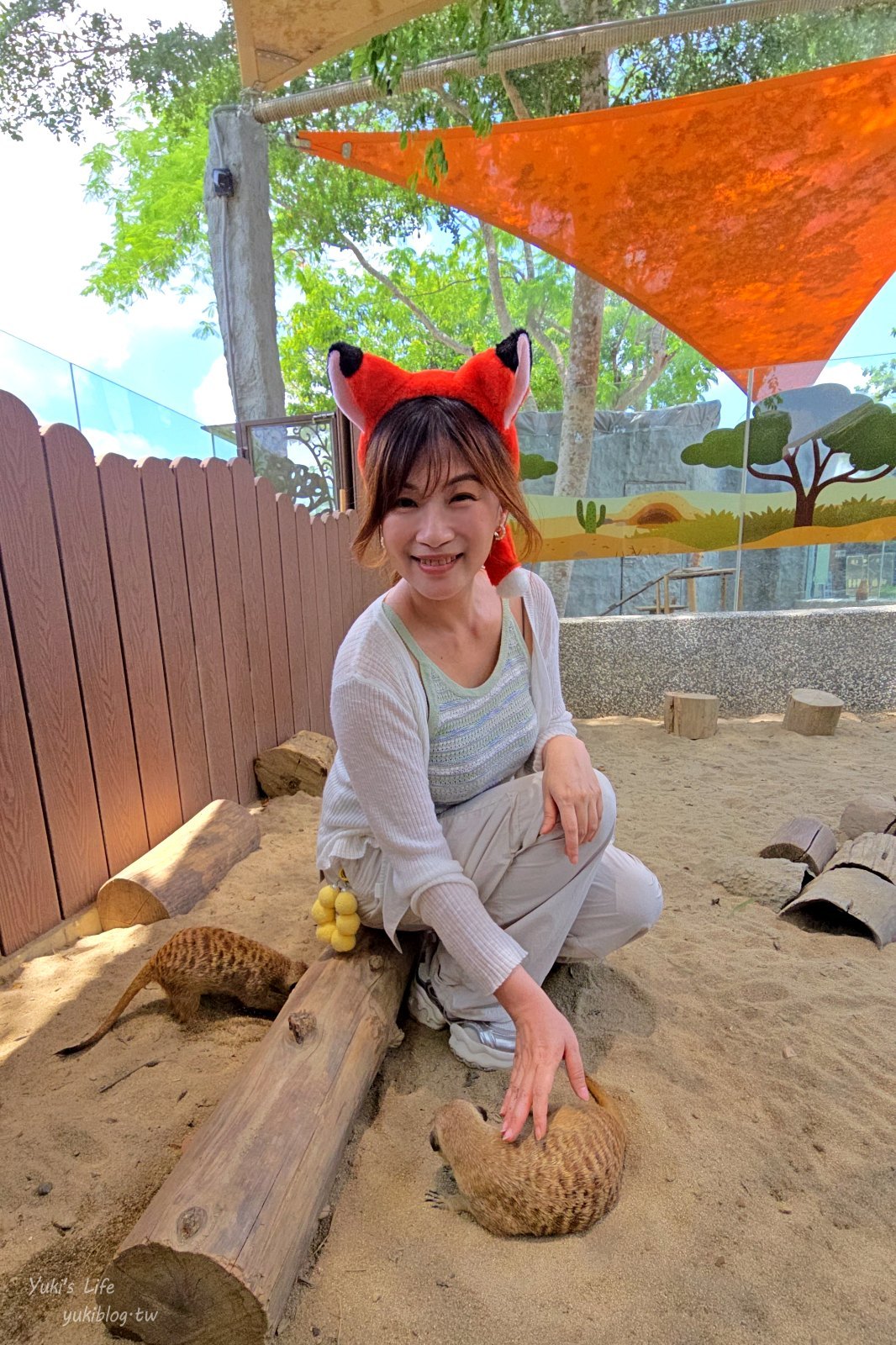 20260605170931_0_8188f6 高雄內門新景點！野森動物學校：全台唯一紅白狐狸谷體驗，一票玩到底！