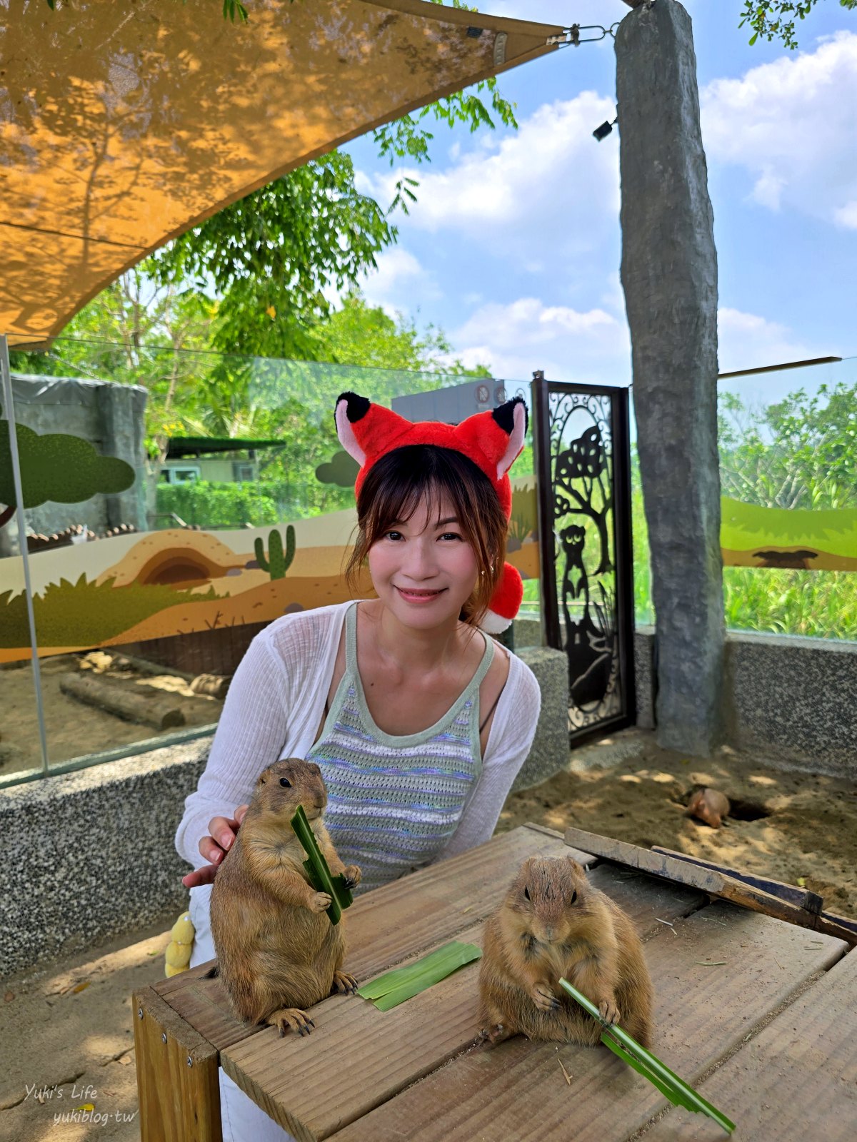 20260605171248_0_6e51ef 高雄內門新景點！野森動物學校：全台唯一紅白狐狸谷體驗，一票玩到底！