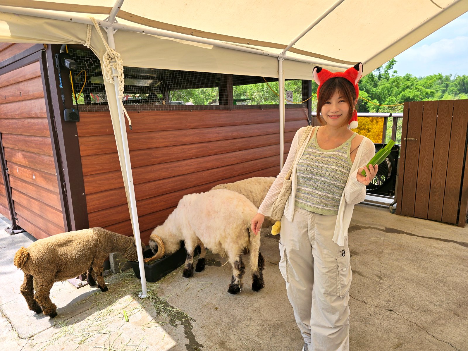 20260605171949_0_f39b92 高雄內門新景點！野森動物學校：全台唯一紅白狐狸谷體驗，一票玩到底！