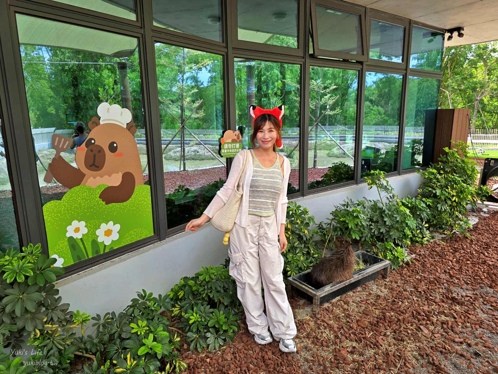 20260605172846_0_c420e1 高雄內門新景點！野森動物學校：全台唯一紅白狐狸谷體驗，一票玩到底！