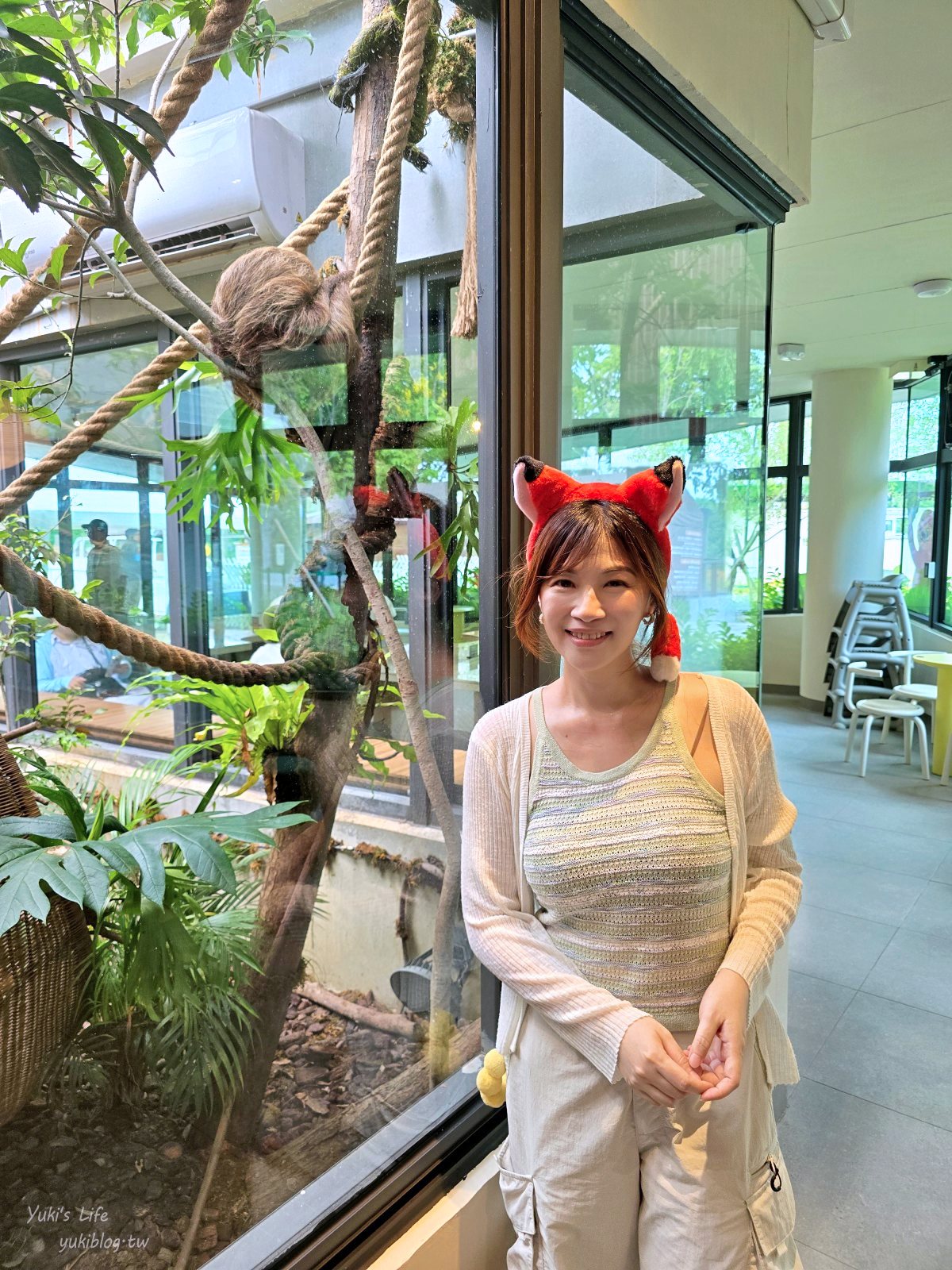 20260605174205_0_4ff463 高雄內門新景點！野森動物學校：全台唯一紅白狐狸谷體驗，一票玩到底！