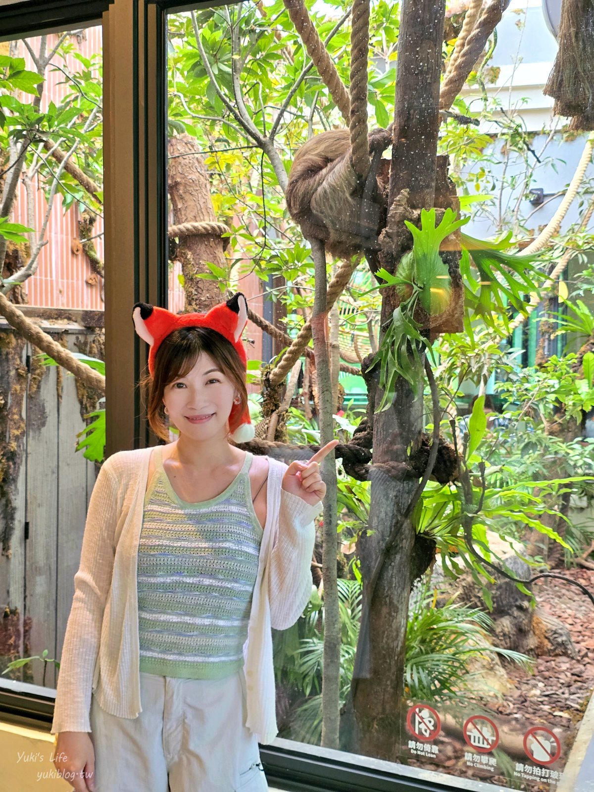 20260605174206_0_d4c1b9 高雄內門新景點！野森動物學校：全台唯一紅白狐狸谷體驗，一票玩到底！