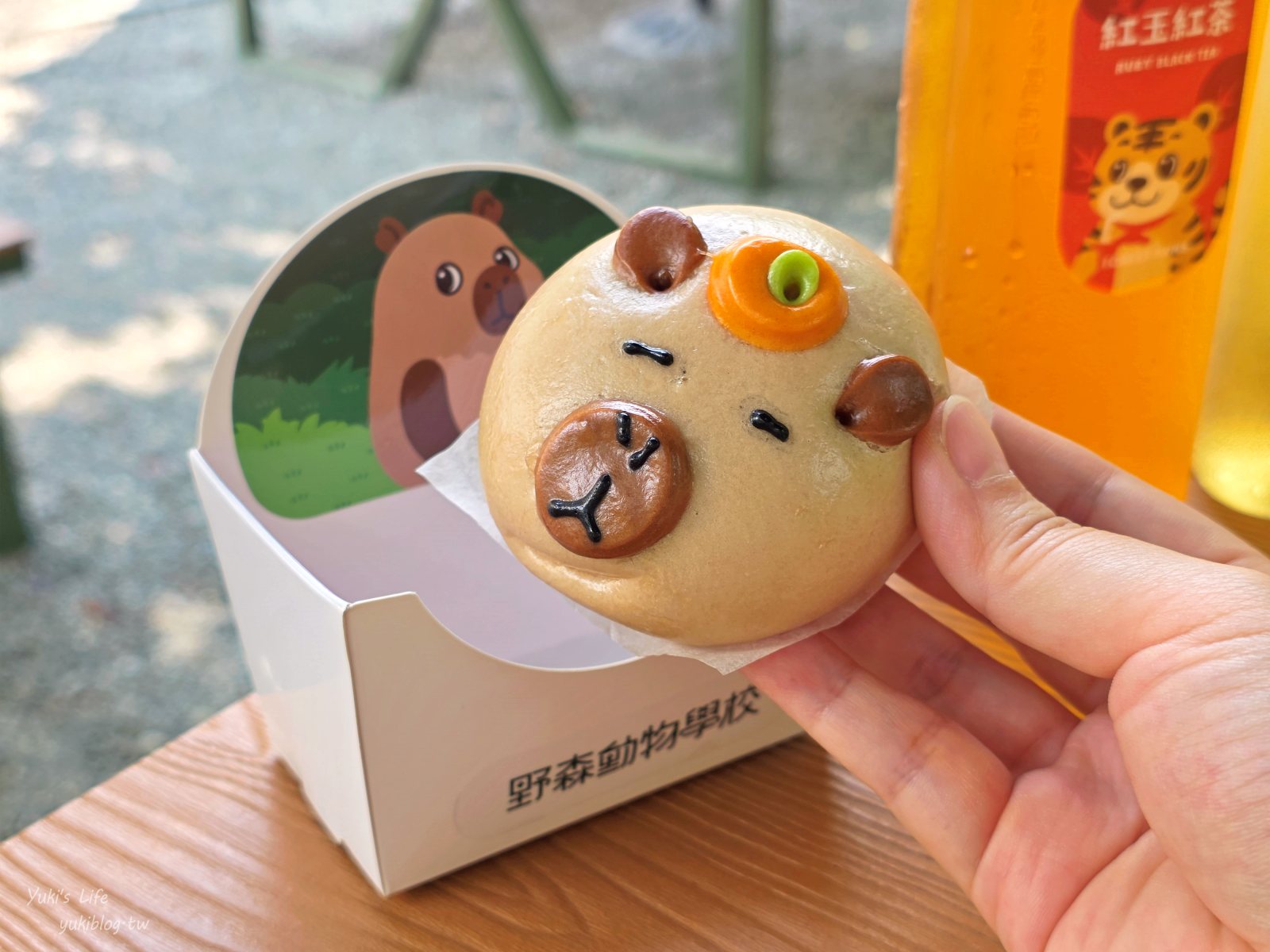 20260605175231_0_068317 高雄內門新景點！野森動物學校：全台唯一紅白狐狸谷體驗，一票玩到底！