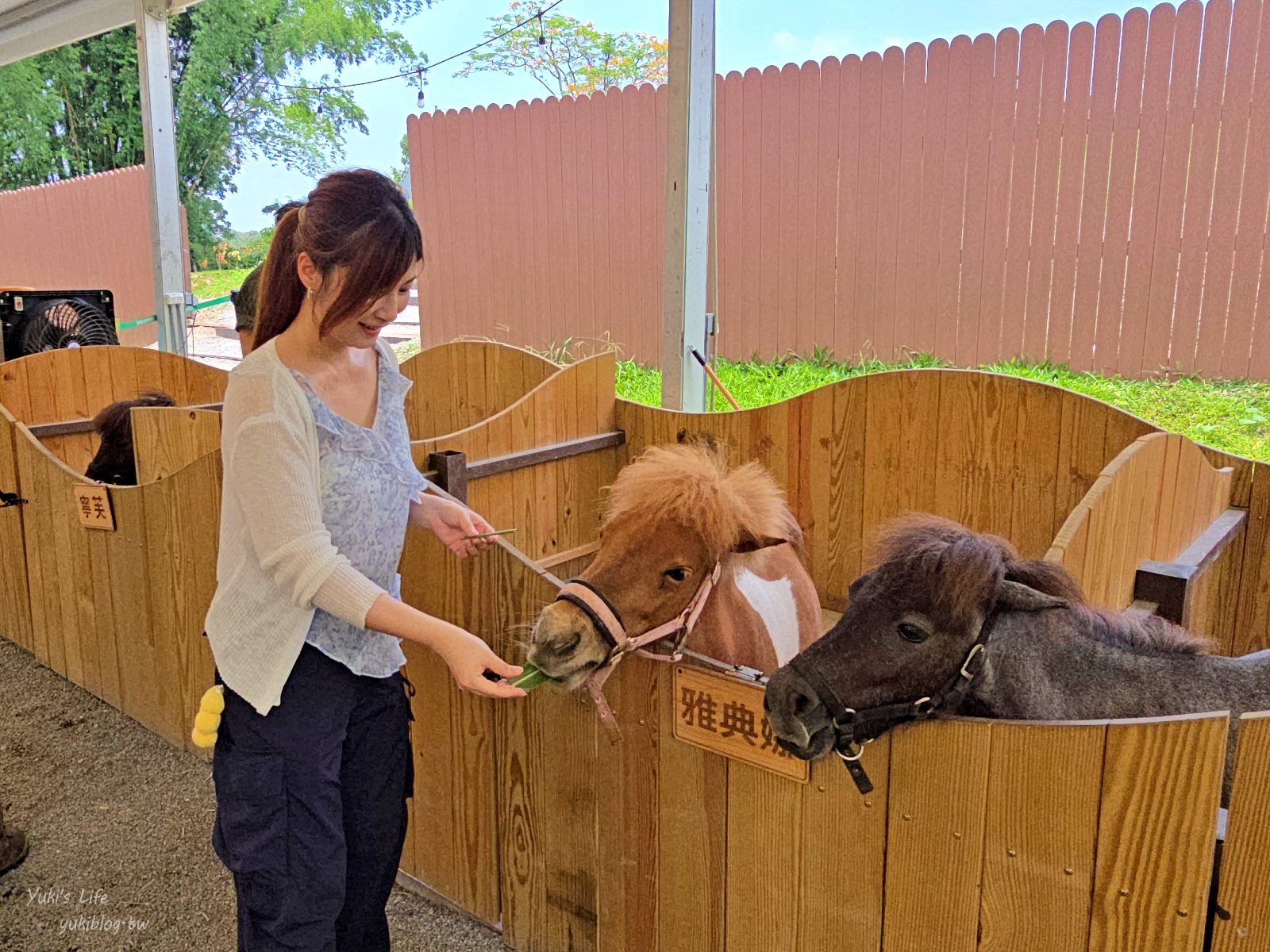 20260605175802_0_894cf4 高雄內門新景點！野森動物學校：全台唯一紅白狐狸谷體驗，一票玩到底！