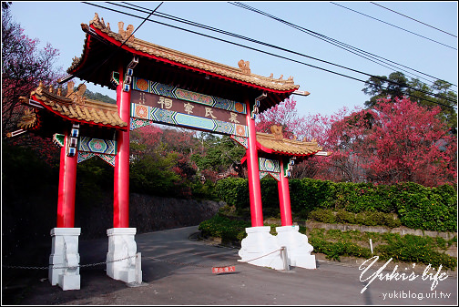 [台北-遊]＊北投-復興三路 & 吳氏宗祠 賞櫻花 - yuki.tw