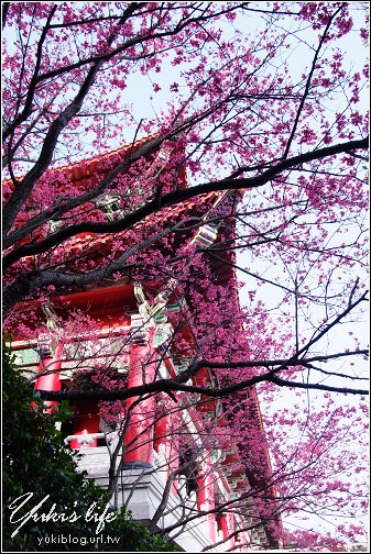 [台北-遊]＊北投-復興三路 & 吳氏宗祠 賞櫻花 - yuki.tw