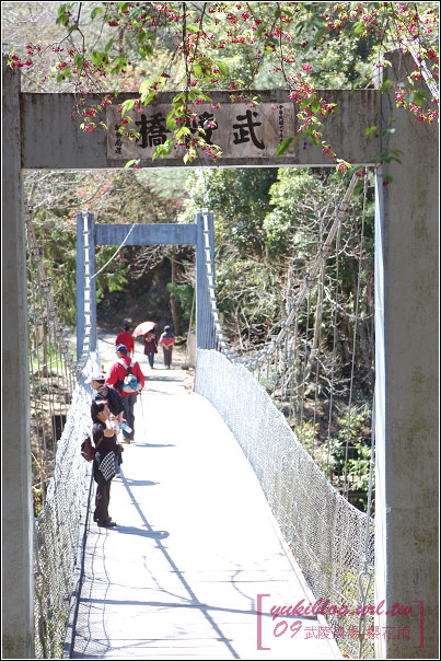 [09賞櫻]＊武陵農場 II ~武陵橋•櫻樹下的邂逅 - yuki.tw