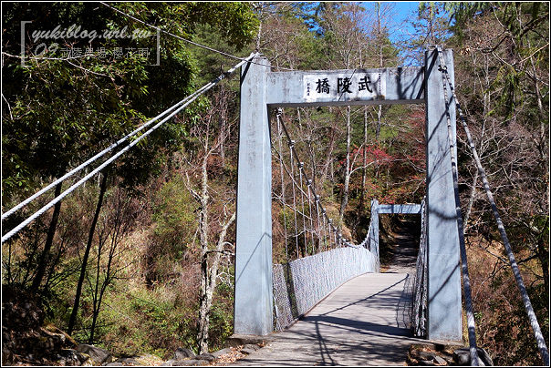 [09賞櫻]＊武陵農場 II ~武陵橋•櫻樹下的邂逅 - yuki.tw