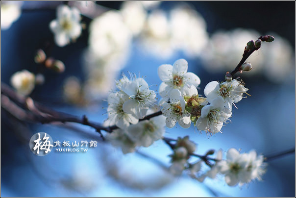 桃園復興景點|角板山行館|一日遊逛角板山公園,品嚐角板山老街美食 - yuki.tw