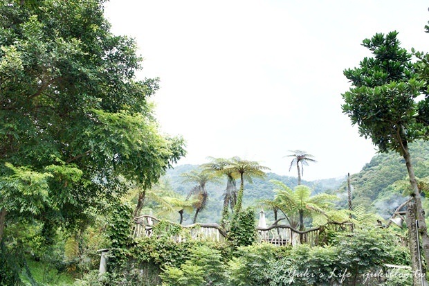 ┃頭城休閒旅遊達人來帶路┃VI 藏酒酒莊‧藏在山上的美景&藏酒創意食冢手作料理 - yuki.tw