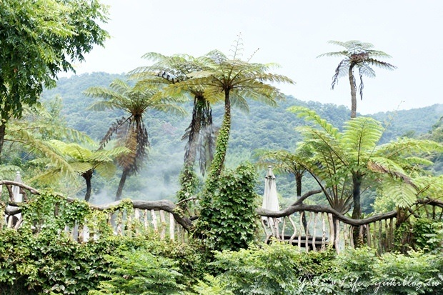 ┃頭城休閒旅遊達人來帶路┃VI 藏酒酒莊‧藏在山上的美景&藏酒創意食冢手作料理 - yuki.tw