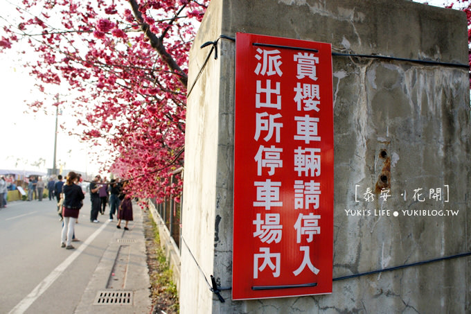 台中后里[泰安‧八重櫻]＊最美麗的泰安派出所.隱身在一片櫻花海的浪漫派出所 - yuki.tw