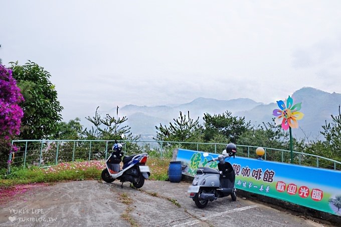 台中【綠大地景觀咖啡館】草泥馬寶寶陪用餐桌邊服務×新社櫻花景點/草泥馬景觀餐廳/露營區 - yuki.tw