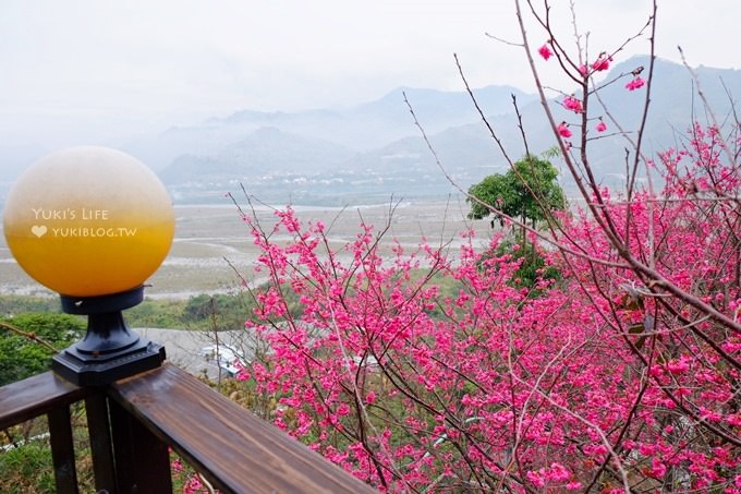 台中【綠大地景觀咖啡館】草泥馬寶寶陪用餐桌邊服務×新社櫻花景點/草泥馬景觀餐廳/露營區 - yuki.tw