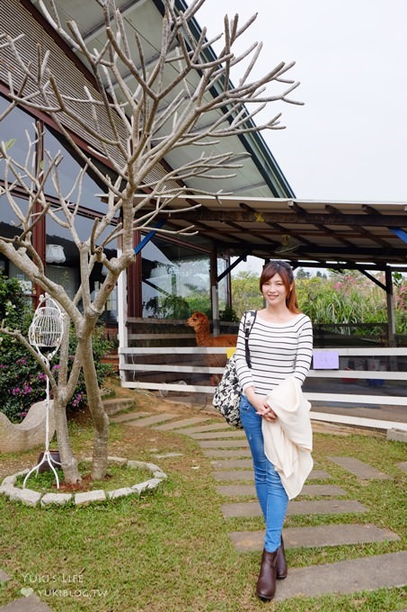 台中【綠大地景觀咖啡館】草泥馬寶寶陪用餐桌邊服務×新社櫻花景點/草泥馬景觀餐廳/露營區 - yuki.tw