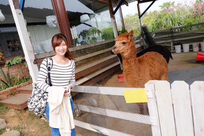 台中【綠大地景觀咖啡館】草泥馬寶寶陪用餐桌邊服務×新社櫻花景點/草泥馬景觀餐廳/露營區 - yuki.tw