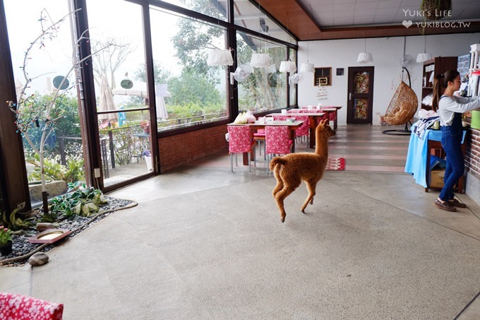 台中【綠大地景觀咖啡館】草泥馬寶寶陪用餐桌邊服務×新社櫻花景點/草泥馬景觀餐廳/露營區 - yuki.tw