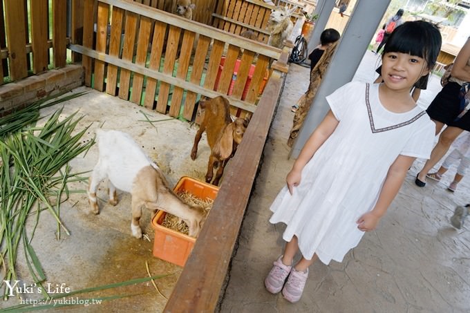 台中景點【山豬別館】用餐還可以看動物園×牧樂韓式銅盤烤肉火鍋~台中親子美食 - yuki.tw