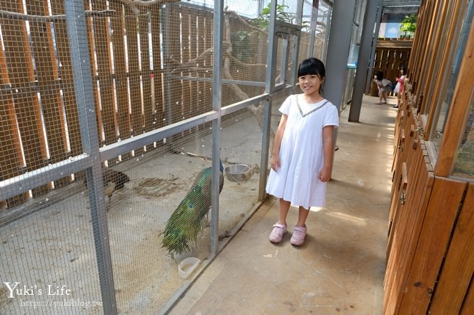 台中景點【山豬別館】用餐還可以看動物園×牧樂韓式銅盤烤肉火鍋~台中親子美食 - yuki.tw