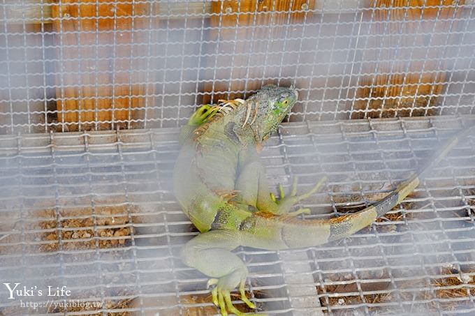 台中景點【山豬別館】用餐還可以看動物園×牧樂韓式銅盤烤肉火鍋~台中親子美食 - yuki.tw