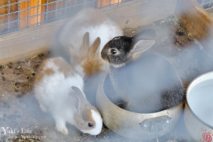 台中景點【山豬別館】用餐還可以看動物園×牧樂韓式銅盤烤肉火鍋~台中親子美食 - yuki.tw