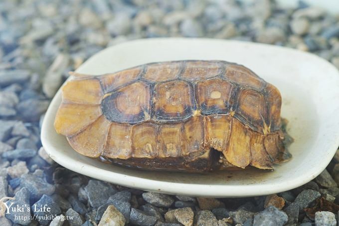 台中景點【山豬別館】用餐還可以看動物園×牧樂韓式銅盤烤肉火鍋~台中親子美食 - yuki.tw