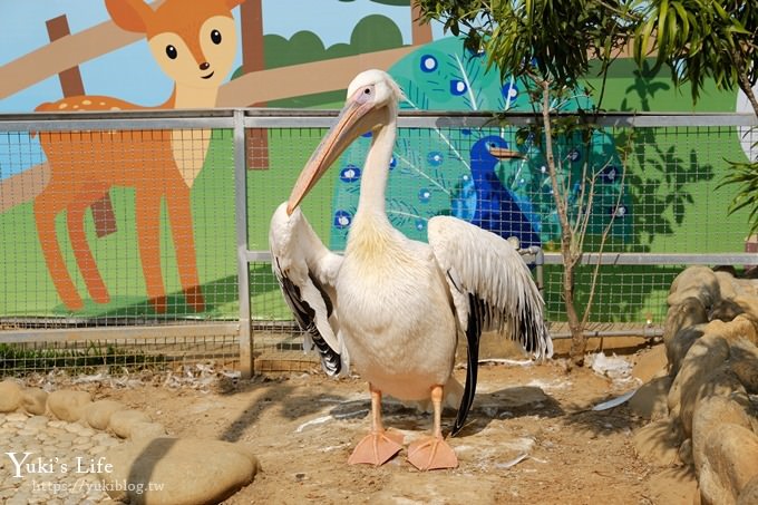 台中景點【山豬別館】用餐還可以看動物園×牧樂韓式銅盤烤肉火鍋~台中親子美食 - yuki.tw