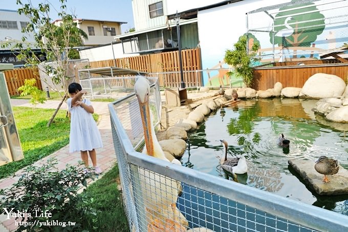 台中景點【山豬別館】用餐還可以看動物園×牧樂韓式銅盤烤肉火鍋~台中親子美食 - yuki.tw