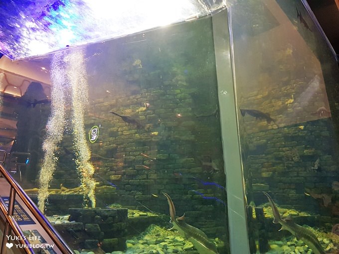 台中免費親子景點【清水休息站幸福天空】海洋主題大型水族箱×幸福鐘×景觀平台約會好去處 - yuki.tw