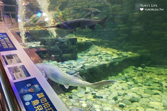 台中免費親子景點【清水休息站幸福天空】海洋主題大型水族箱×幸福鐘×景觀平台約會好去處 - yuki.tw