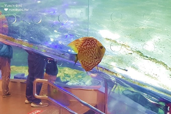 台中免費親子景點【清水休息站幸福天空】海洋主題大型水族箱×幸福鐘×景觀平台約會好去處 - yuki.tw