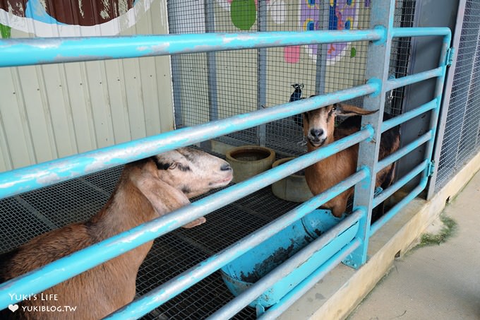 宜蘭礁溪牧場親子館【水鹿咖啡】旗艦店戶外玩沙池動物區×親子餐廳放電景點 - yuki.tw