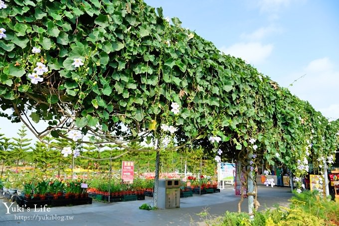 台中景點【中社觀光花市】歐式花海庭園全年可賞花×台中親子烤肉好去處！ - yuki.tw