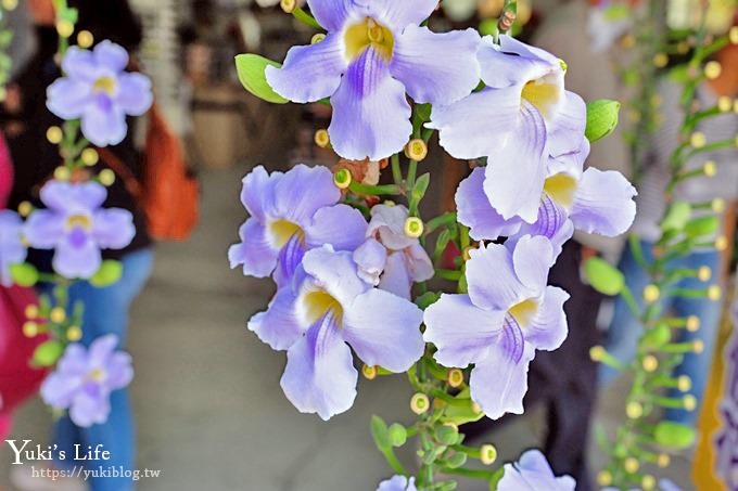 台中景點【中社觀光花市】歐式花海庭園全年可賞花×台中親子烤肉好去處！ - yuki.tw