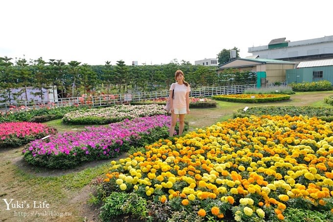 台中景點【中社觀光花市】歐式花海庭園全年可賞花×台中親子烤肉好去處！ - yuki.tw