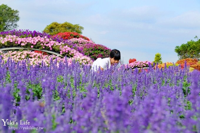 台中景點【中社觀光花市】歐式花海庭園全年可賞花×台中親子烤肉好去處！ - yuki.tw