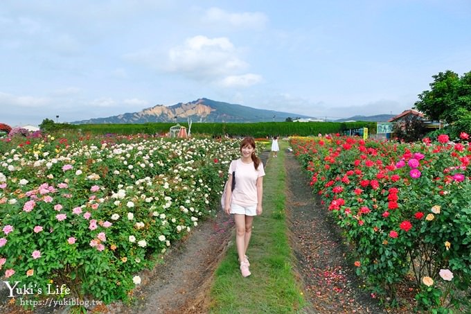 台中景點【中社觀光花市】歐式花海庭園全年可賞花×台中親子烤肉好去處！ - yuki.tw