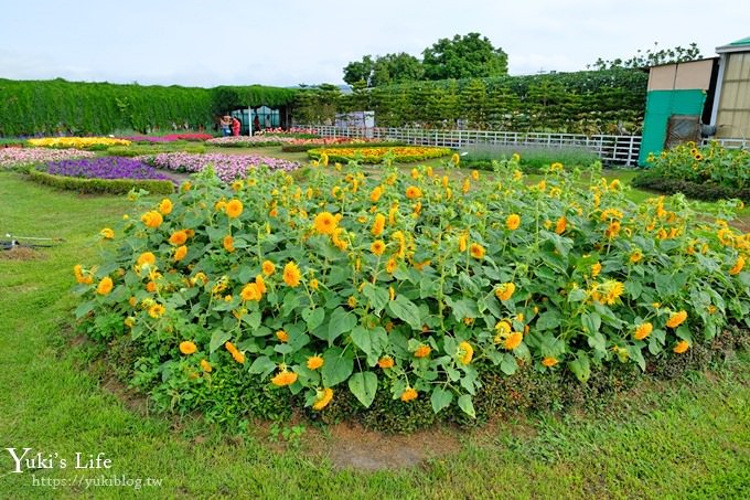 台中景點【中社觀光花市】歐式花海庭園全年可賞花×台中親子烤肉好去處！ - yuki.tw