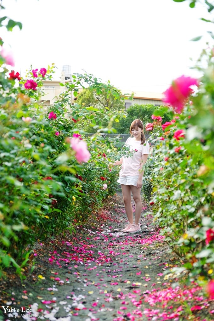 台中景點【中社觀光花市】歐式花海庭園全年可賞花×台中親子烤肉好去處！ - yuki.tw