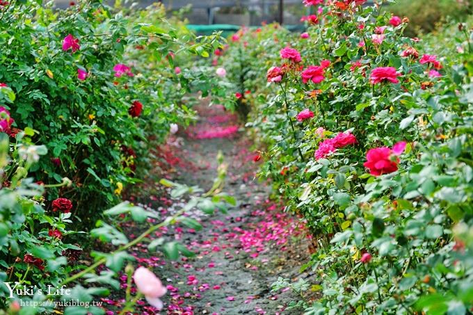 台中景點【中社觀光花市】歐式花海庭園全年可賞花×台中親子烤肉好去處！ - yuki.tw