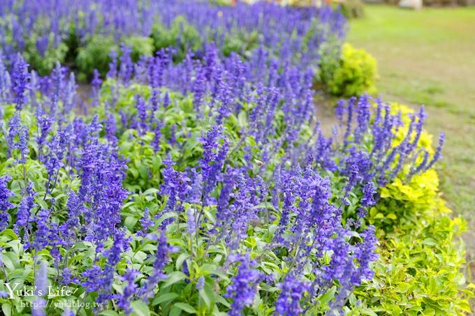 台中景點【中社觀光花市】歐式花海庭園全年可賞花×台中親子烤肉好去處！ - yuki.tw