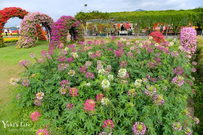 台中景點【中社觀光花市】歐式花海庭園全年可賞花×台中親子烤肉好去處！ - yuki.tw