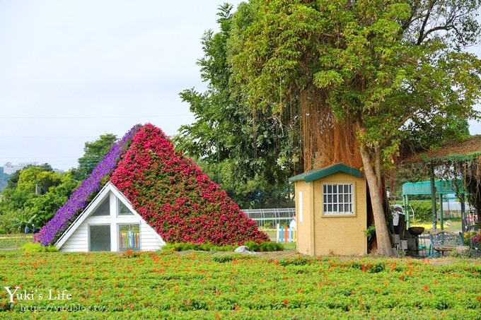 台中景點【中社觀光花市】歐式花海庭園全年可賞花×台中親子烤肉好去處！ - yuki.tw