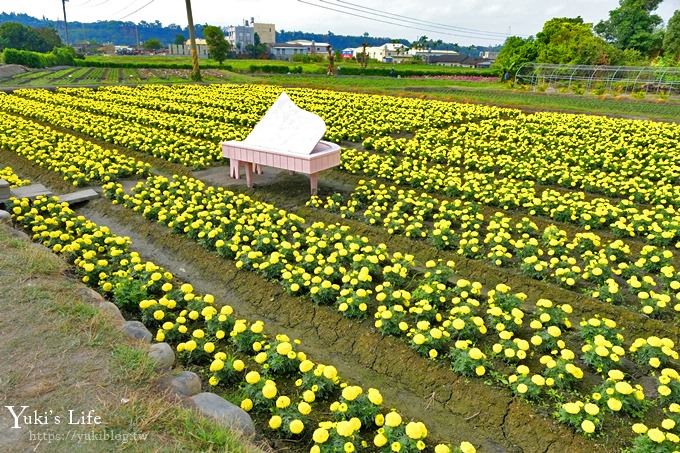 台中景點【中社觀光花市】歐式花海庭園全年可賞花×台中親子烤肉好去處！ - yuki.tw