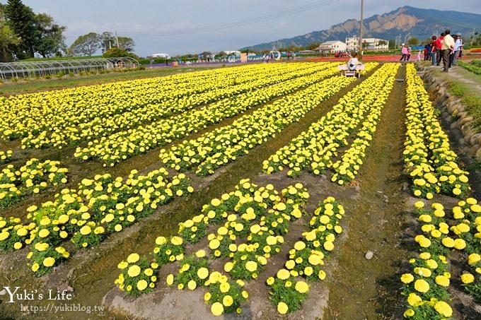 台中景點【中社觀光花市】歐式花海庭園全年可賞花×台中親子烤肉好去處！ - yuki.tw