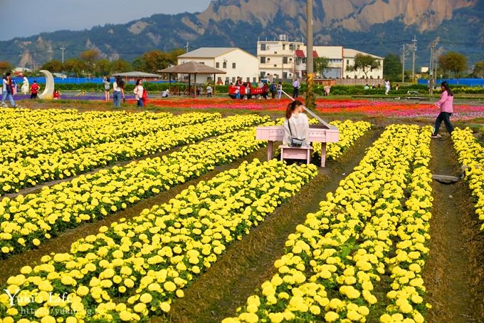 台中景點【中社觀光花市】歐式花海庭園全年可賞花×台中親子烤肉好去處！ - yuki.tw