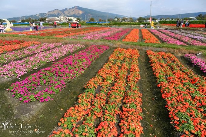 台中景點【中社觀光花市】歐式花海庭園全年可賞花×台中親子烤肉好去處！ - yuki.tw