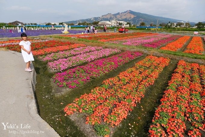 台中景點【中社觀光花市】歐式花海庭園全年可賞花×台中親子烤肉好去處！ - yuki.tw