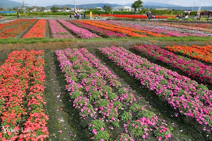 台中景點【中社觀光花市】歐式花海庭園全年可賞花×台中親子烤肉好去處！ - yuki.tw